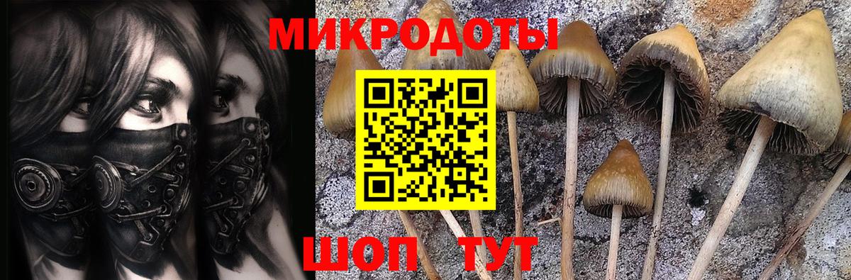 Краснодар  Галлюциногенные грибы мухоморы  Вход с VPN  Псилоцибиновые грибы MAGIC MUSHROOMS 